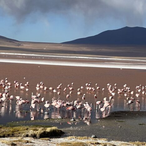 Peru na tanieri