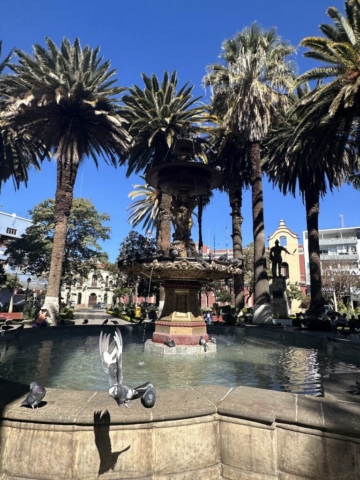 Tarija